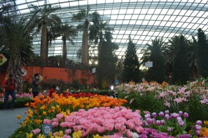 Inside the Flower Dome.
